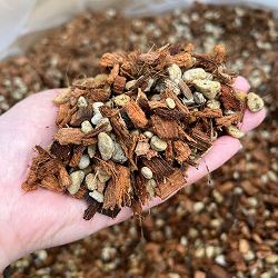 ねこチップ(Mサイズ)　5リットル 5袋セット