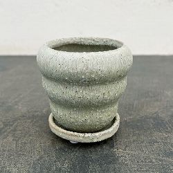 マノン：薄緑S（直径8cm）・受け皿付