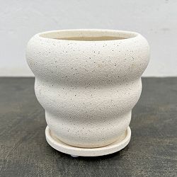 マノン：白M（直径12.5cm）・受け皿付