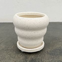 マノン：白S（直径8cm）・受け皿付