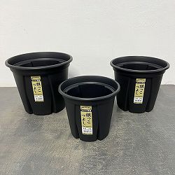 根っこつよしブラック　6号・7号・8号の3種セット