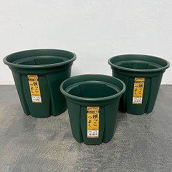 根っこつよしグリーン　6号・7号・8号の3種セット