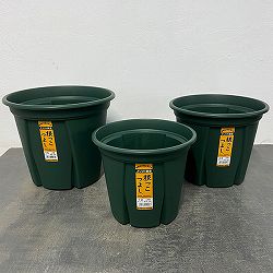 根っこつよしグリーン　7号・8号・9号の3種セット
