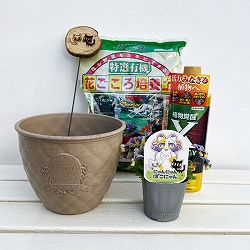 見元園芸さんのビオラ：にゃんにゃんぽこにゃん植え込みセット（ベージュ鉢・エックスエナジー付）