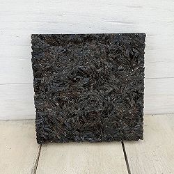 [棚卸セール]フェゴ着生ボード100（10×10cm） 10個セット