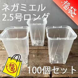 スリット鉢（透明）：ネガミエル2.5号スクエアロング 100個セット