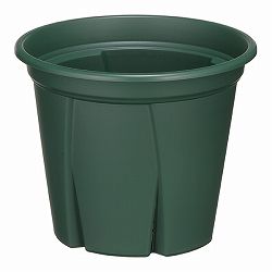 根っこつよし3号グリーン5個セット