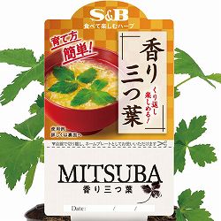 [26年4月下旬予約]S＆B香り三つ葉3号ポット 12株セット