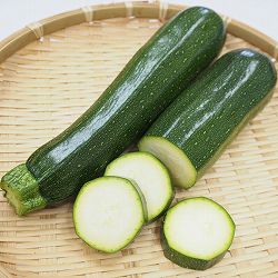 [26年4月下旬予約]ズッキーニ・ダイナー自根苗3.5号ポット 12株セット