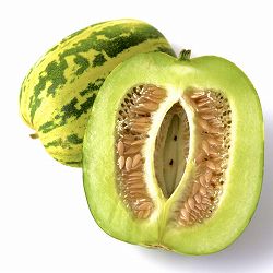 [26年4月下旬予約]メロン：タイガーメロン自根苗3号ポット 6株セット