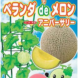 [26年4月下旬予約]メロン：ベランダでメロン：アニバーサリー自根苗3.5号ポット 6株セット
