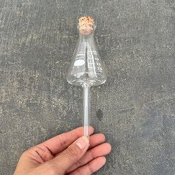 HARIO プランターに挿す水やり器 PM-P（直径5.4cm、高さ16.7cm、容量50ml）