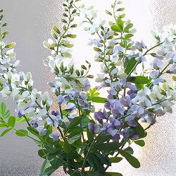 バプティシア：ルナエクリプス3.5号ポット