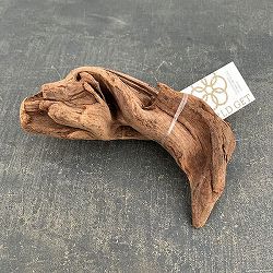 マングローブ系の流木 Sサイズ