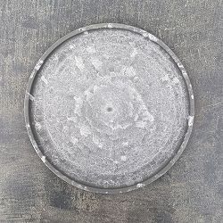 Sen シリーズ：プレート 丸 Lサイズ（直径22.9cm）グレー