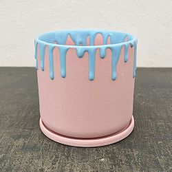 ドリーナ11P（直径11cm）ピンク＆ブルー・皿付／84090