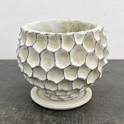 ガイヤボウル：ベージュM（直径約16cm）・皿付き