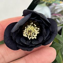 クリスマスローズ：スウィングダブル26-20／1.5Lポット【現品販売】