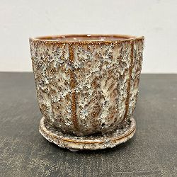 ソル：ポストM　ホワイト4614（直径11cm）・皿付