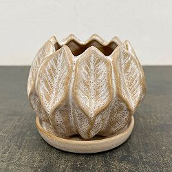 ソル：リブS　ホワイト4587（直径12cm）・皿付