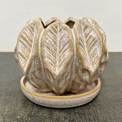 ソル：リブM　ホワイト4588（直径14cm）・皿付