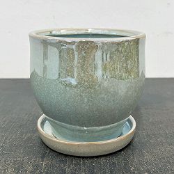 ソル：ベルS　パール4557（直径12cm）・皿付