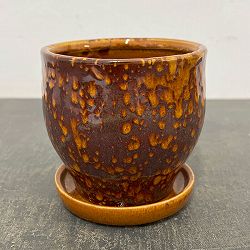 ソル：ベルS　イエロー4561（直径12cm）・皿付