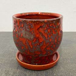 ソル：ベルS　レッド4563（直径12cm）・皿付