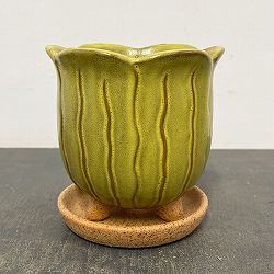 ソル：リップM　イエロー4123（直径15cm）・皿付