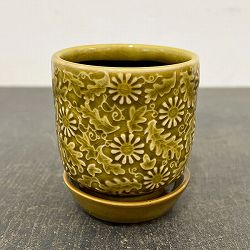 ソル：フロルミニ　イエロー4145（直径7cm）・皿付