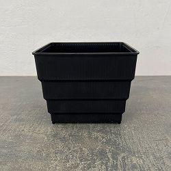 すごい根：メッシュ構造プラバチ　スクエアショート　5号