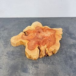 カイズカイブキ：ディスプレー用台（高さ約３ｃｍ、幅約40ｃｍ）