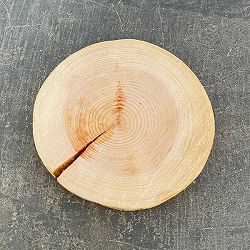 ヒノキ台　輪切り（高さ約2ｃｍ、幅約14ｃｍ）