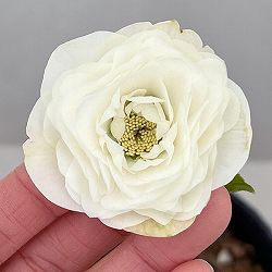 吉田園芸さんのクリスマスローズ：超多弁交配26-01／4.5号ポット【現品販売】