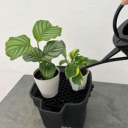 バケツ・エンジョイ 10L（クリアブラック）とドレイニングトレイ 23型（ブラック）のセット