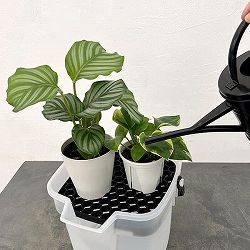 バケツ・エンジョイ 10L（クリア）とドレイニングトレイ 23型（ブラック）のセット