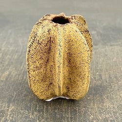フラワーベース：ムルグ（幅・奥行8cm、高さ8.5cm）559416