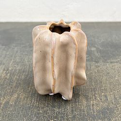 フラワーベース：トルート（幅・奥行6.5cm、高さ9cm）559413