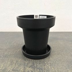 レガロリムブラックS（直径12.5cm 内径7.5cm）・受け皿付き