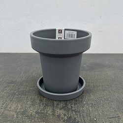 レガロリムグレイS（直径12.5cm 内径7.5cm ）・受け皿付き