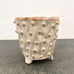 バンプホワイトM（直径14cm 高さ14.5cm）