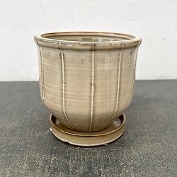 エンシェント ポット アンド ソーサー Mサイズ アイボリー（直径14cm×高さ13.2cm）