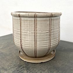 エンシェント ポット アンド ソーサー XLサイズ アイボリー（直径22.5cm、高さ20.2cm）