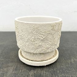 クラック ポット アンド ソーサー Sサイズ ホワイト（直径10.8cm、高さ10cm）