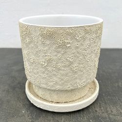 クラック ポット アンド ソーサー Mサイズ ホワイト（直径13.8cm、高さ14cm）