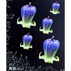 クレマチス：セイジ（青磁）4号ポット（ビオルナ系）