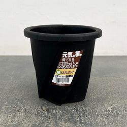 根はりポット 12型（直径12.0cm、高さ11.4cm、容量0.65L）ブラック 10個セット
