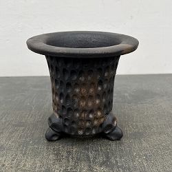 信楽焼き：万山オモト 5号（直径約15cm）