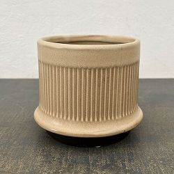 ミネルバ：ベージュS（直径約13cm）