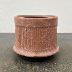 ミネルバ：紫S（直径約13cm）